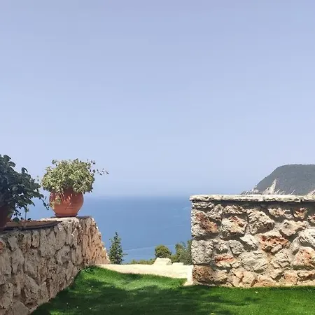 فيلة Nereid Glafki